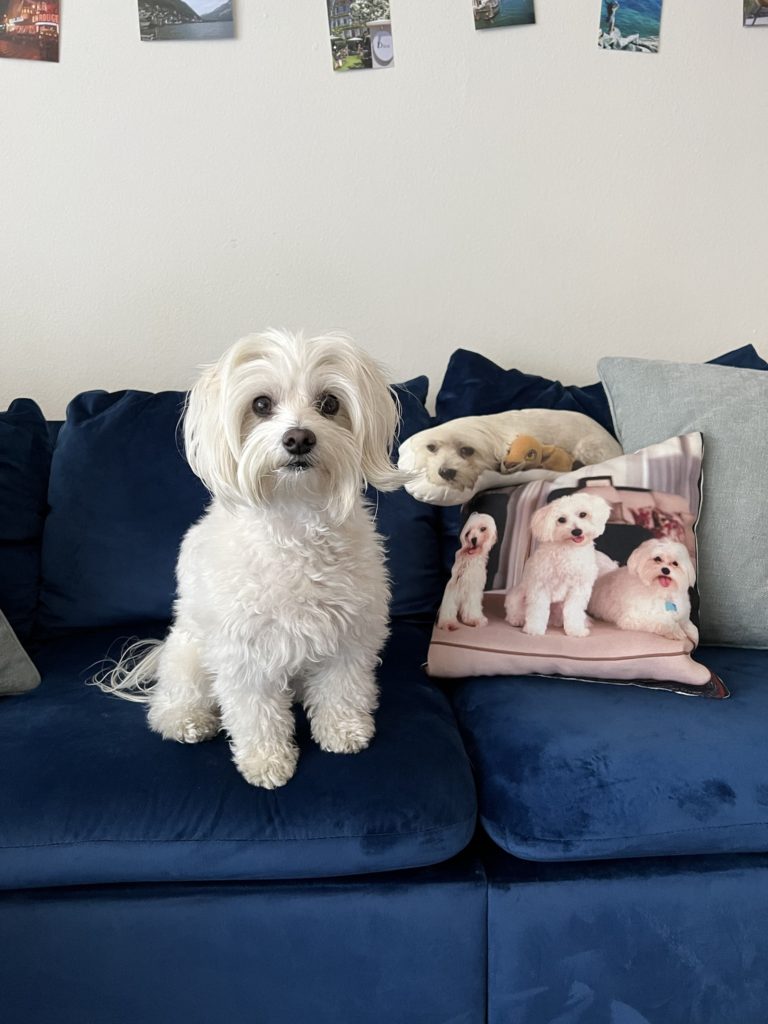 Maddie